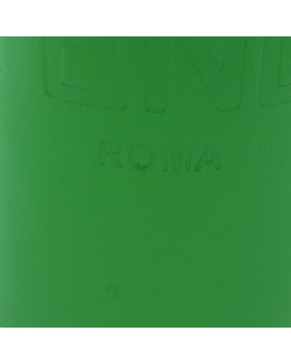 Green Leather Fendi Crossbody Bag